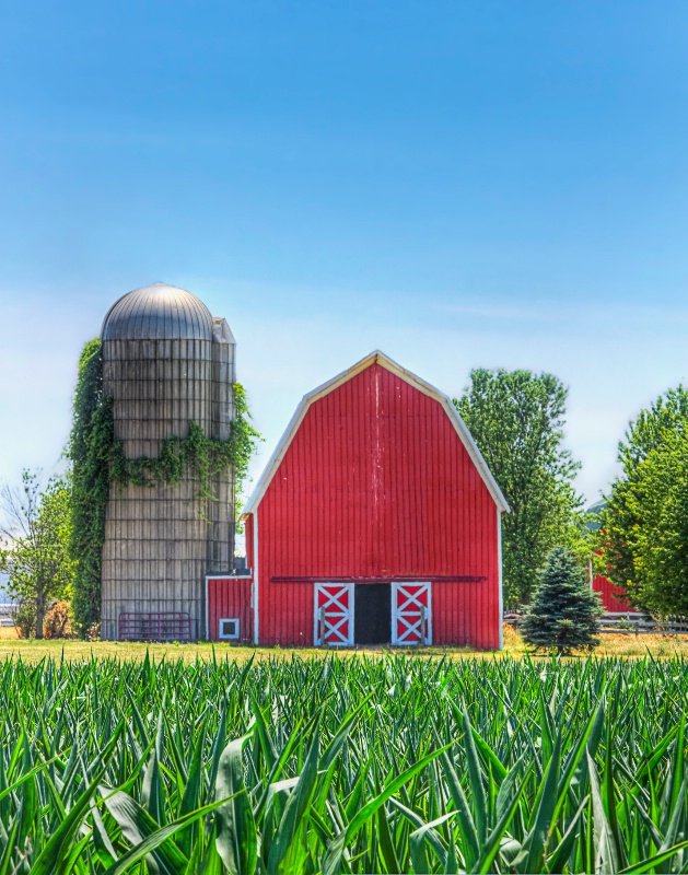 Red Barn