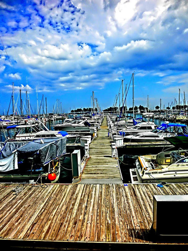 WHAT'S UP DOCK ?