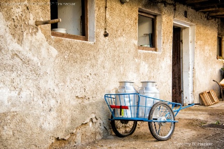 Milk Cart