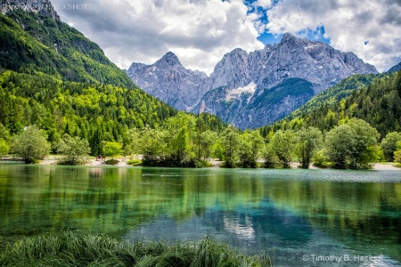 Lake in Slovenia Park