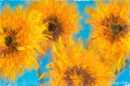 Artistic Sunflowers