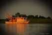 Shrimping