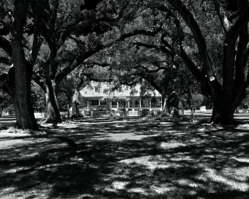 Old South Plantation