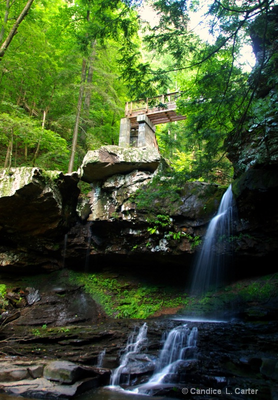 Cloudland Canyon Falls