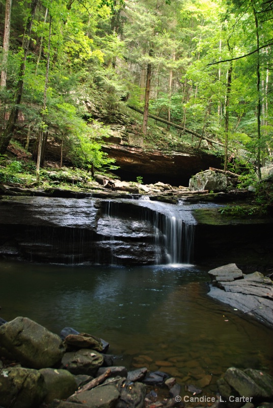 Cloudland Canyon Falls