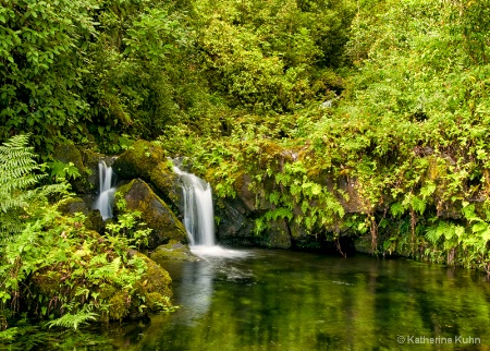 Serenity