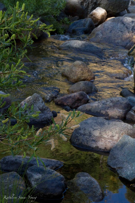 Summer morning on the South Fork