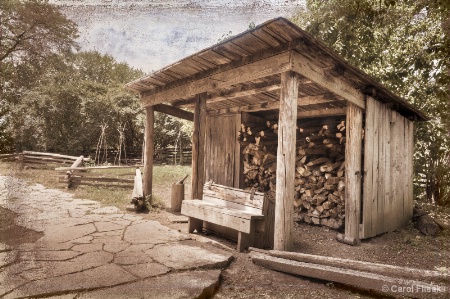 Behind the Woodshed ~ Naper Settlement