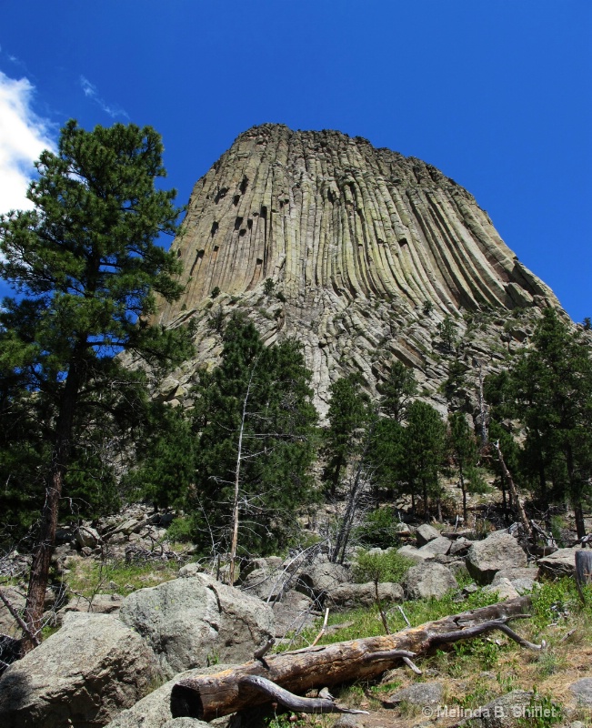 Devil's Tower