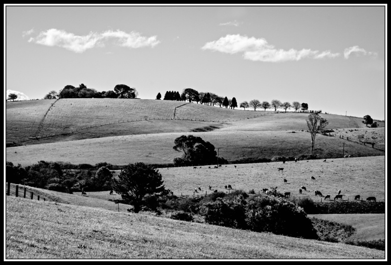 Comboyne Skyline #2 (b&w)