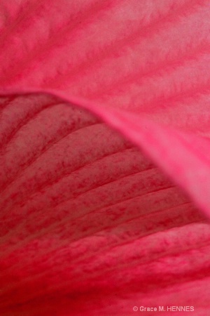Abstract 1