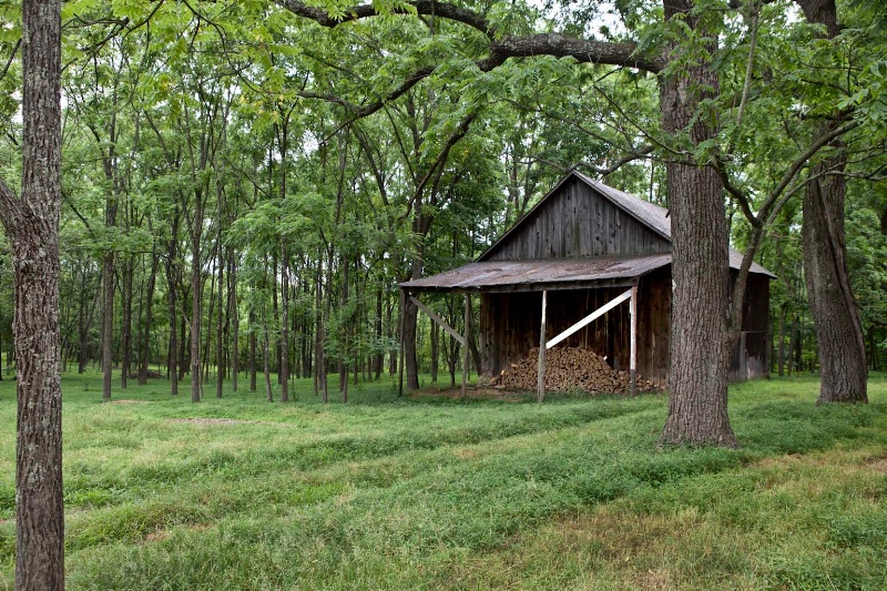 Woodshed in the Woods