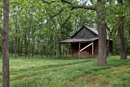 Woodshed in the Woods