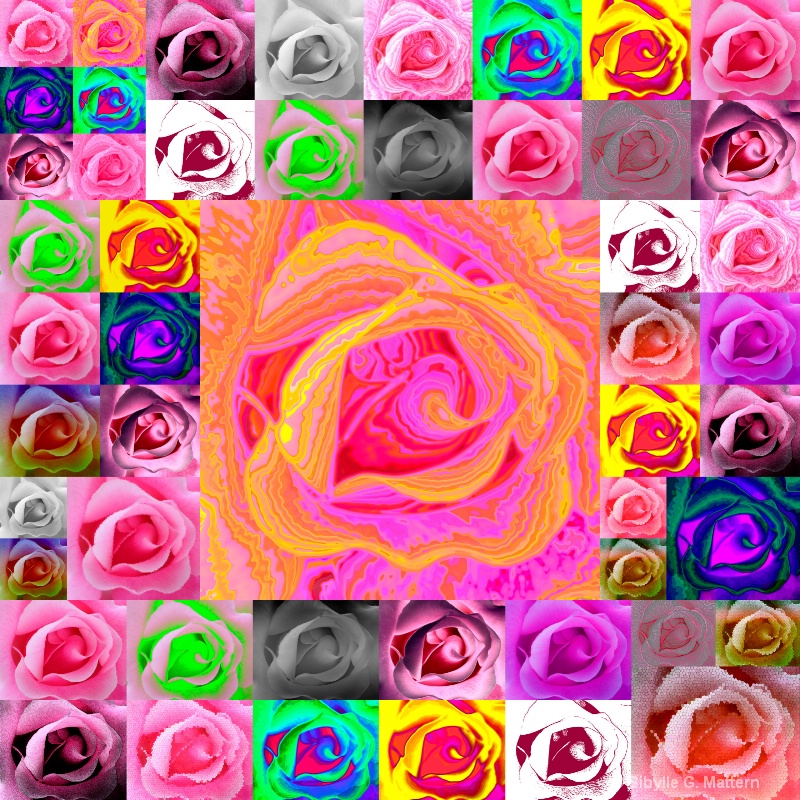 Photoshop filters: 50 roses - ID: 13167347 © Sibylle G. Mattern