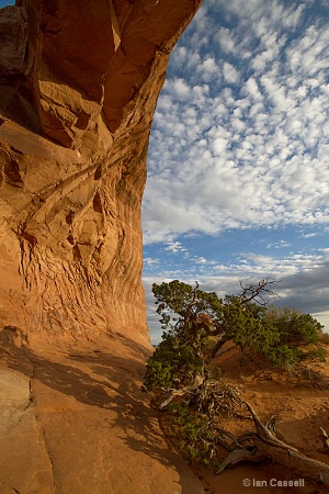 Pine Tree Arch, Arches NP