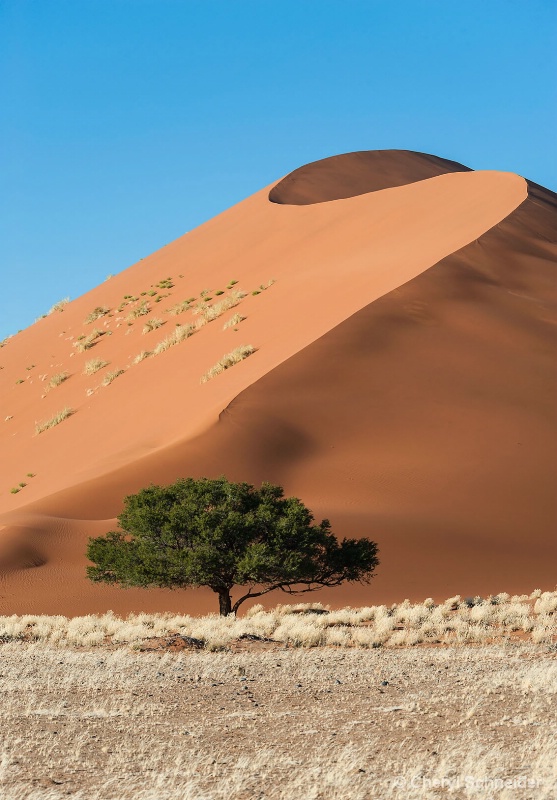 Sand Dune 1209