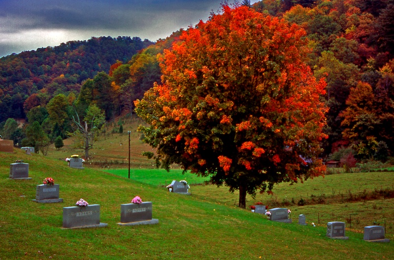 Graveyard in Wears Valley, Tennessee   A-6-3