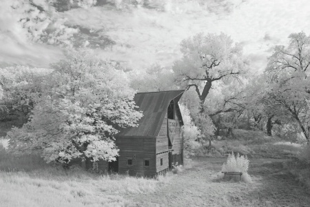 abandoned barn#1