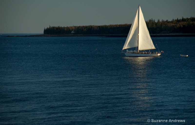 Sailing - ID: 13170547 © Suzanne Andrews