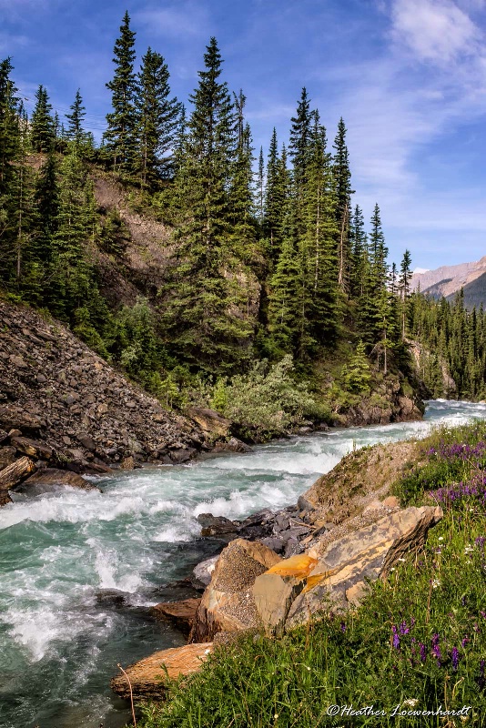 Summertime in the Rockies