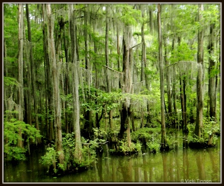 Perry Lakes, Alabama