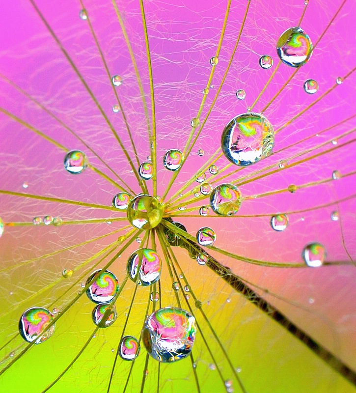 Fairy Nectar Drops