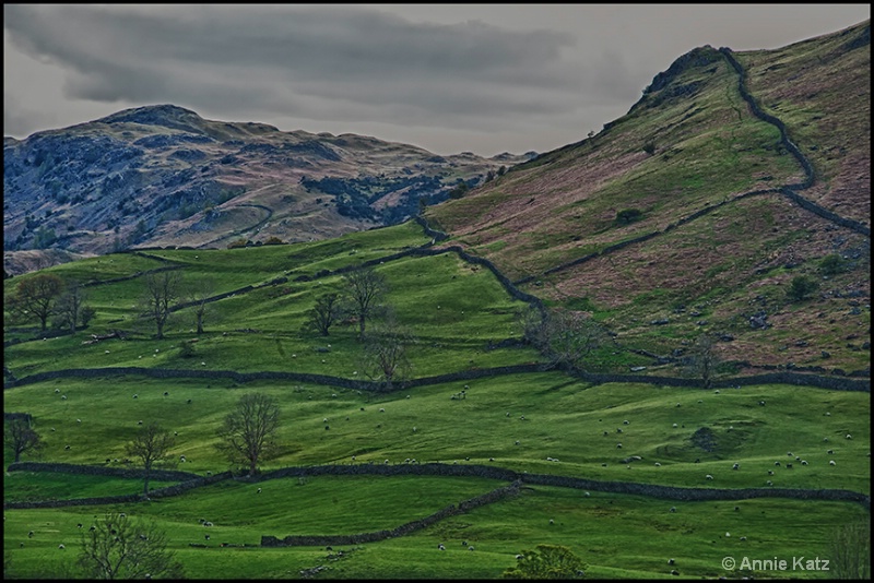 stone walls of the lake district - ID: 13175736 © Annie Katz