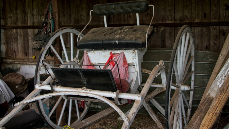 Old Horse-drawn Farm Implement