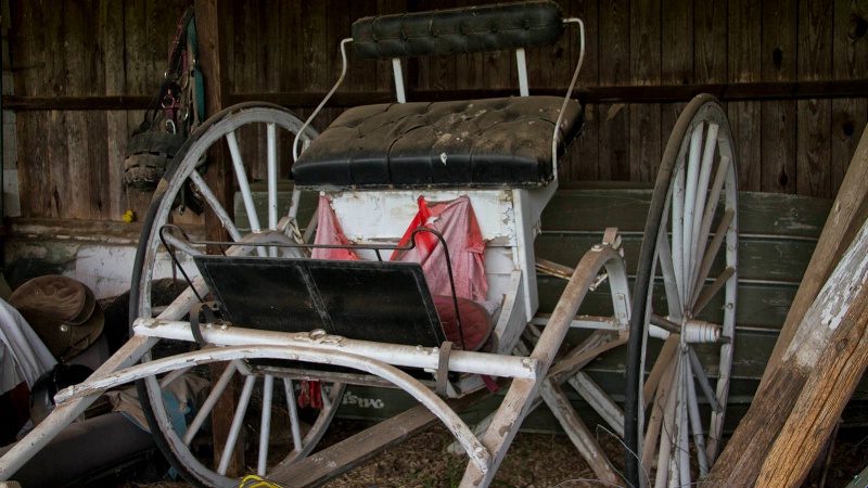 Old Horse-drawn Farm Implement