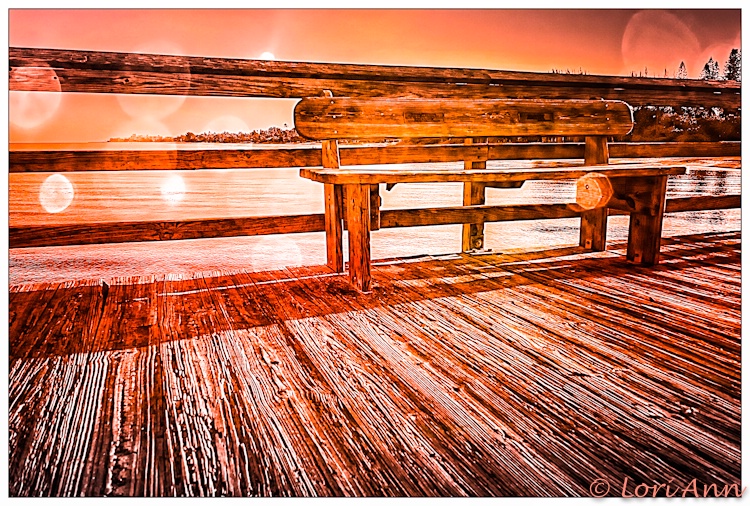 Life's A Bench