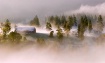 Morning Fog