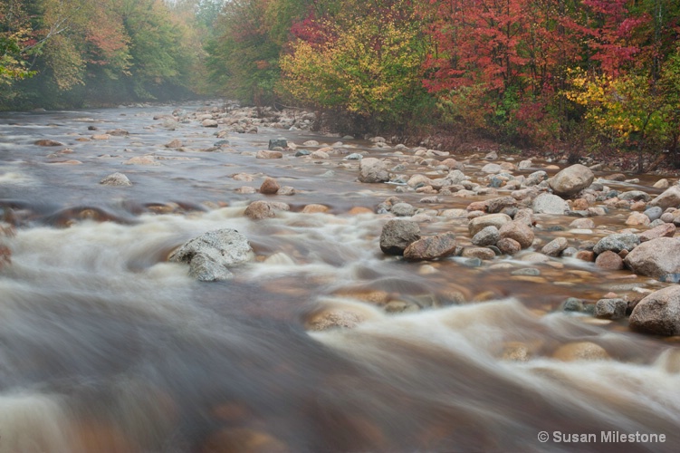 Swift River, NH 1148 - ID: 13181250 © Susan Milestone