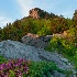 © Susan Milestone PhotoID# 13181299: Grandfather Mtn 7663