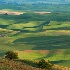 © Susan Milestone PhotoID# 13181469: Palouse 2285