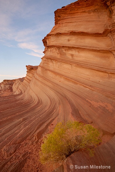 Waterholes Canyon 2098 - ID: 13181568 © Susan Milestone