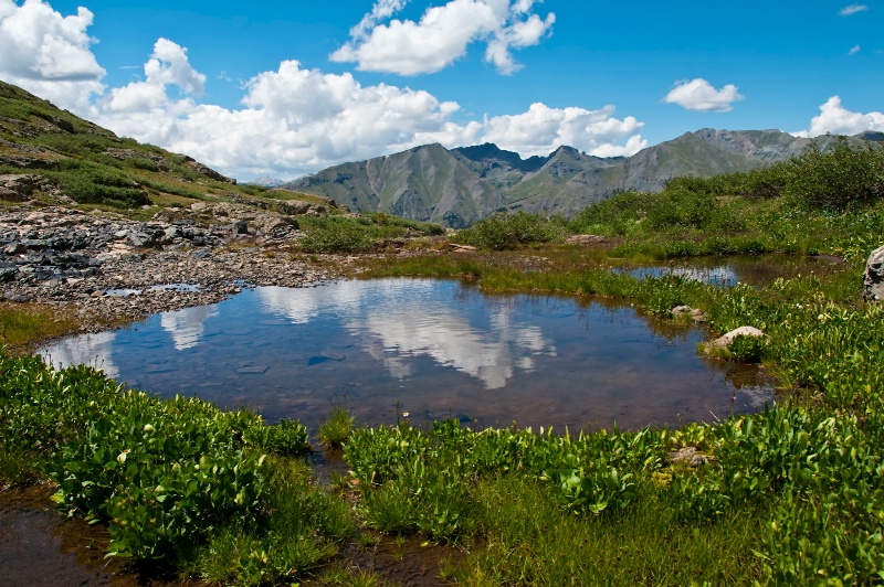 Rocky Mountain High