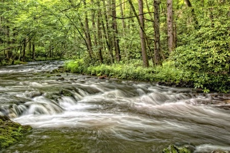 Sunlight on Jake's Creek 2