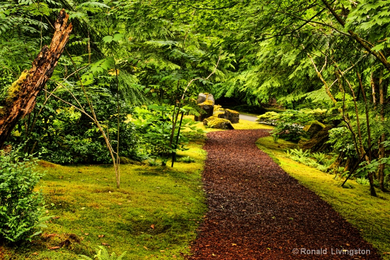 Moss Path
