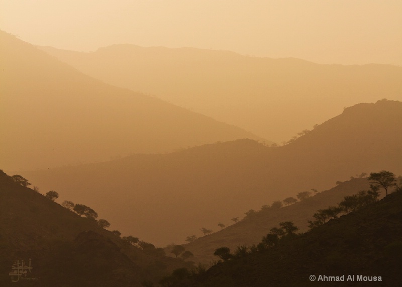 dusty day abstracts