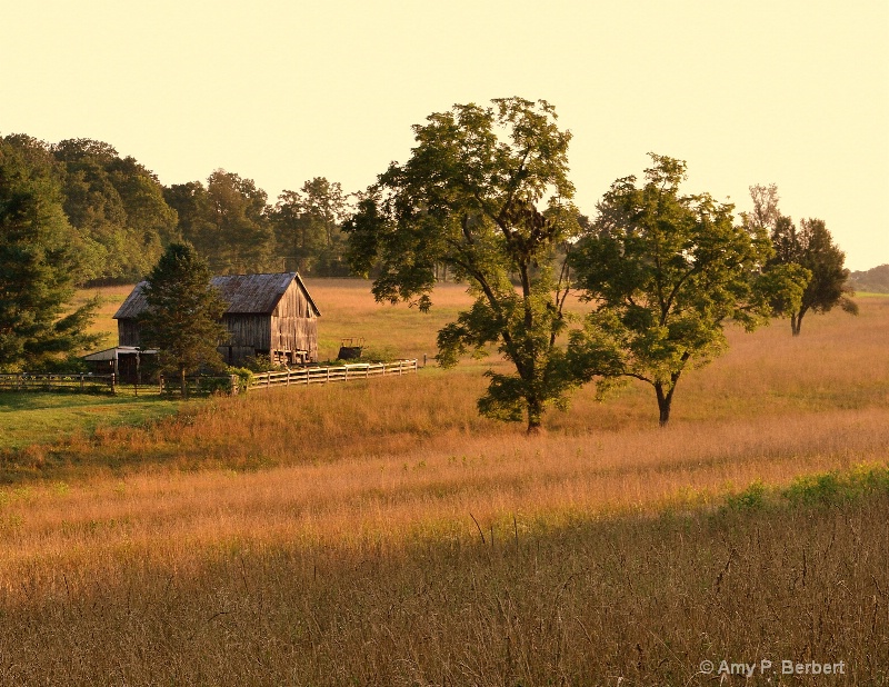 Rustic Utopia