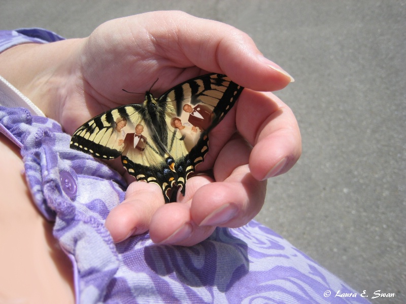 On The Wings of Love