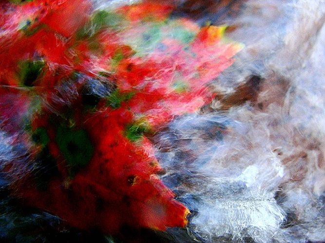Leaf Under Rushing Water