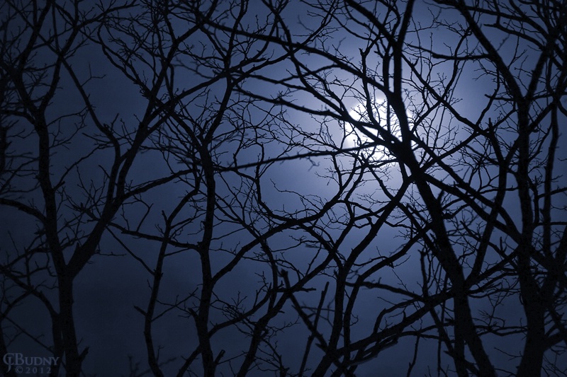 Entangled Moon