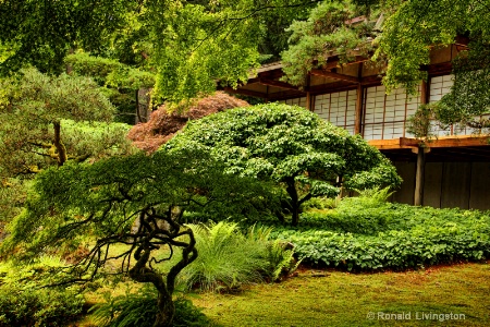 Garden and Tea House