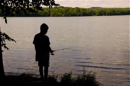 A Boy's Afternoon