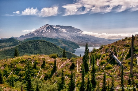 Northwest Grandeur