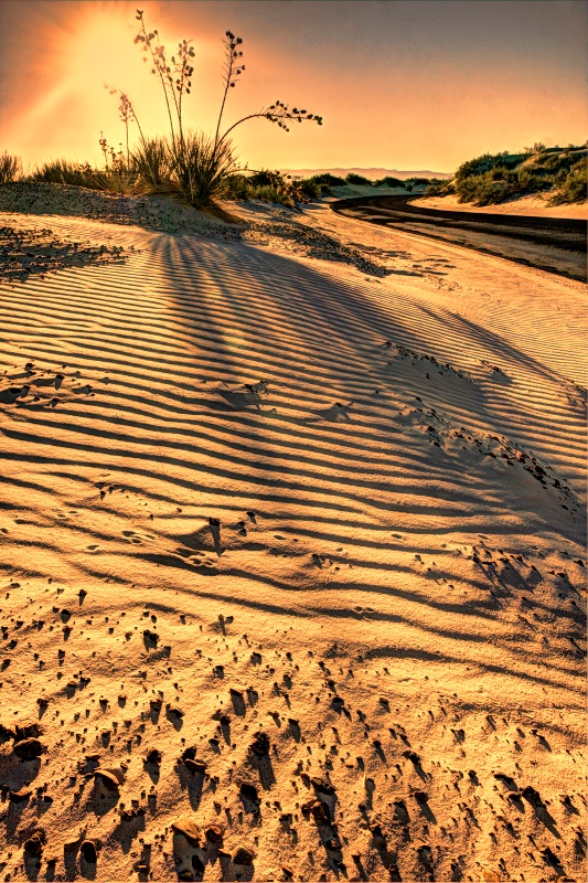 Sunrise Ripples & Shadows