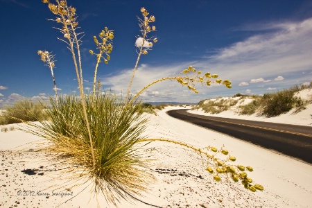 White Sands National Monument Park