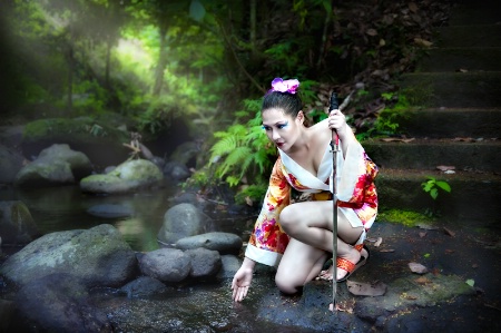 Warrior Geisha