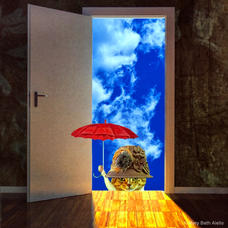 The Visitor